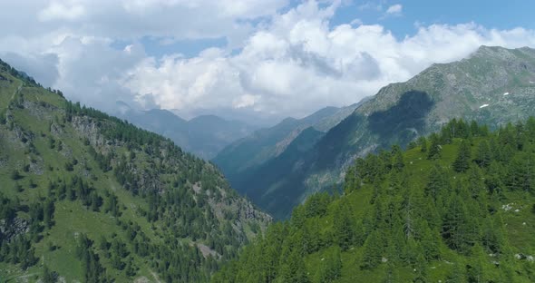 Moving Backward Away Above Pine Woods Forest and Mountain Valley in Sunny Summer Day