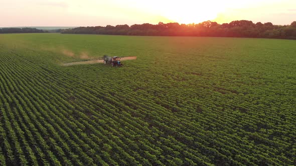 Aerial View of Farming Tractor Spraying on Field with Sprayer Herbicides and Pesticides at Sunset