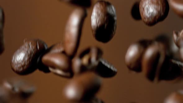 Roasted Coffee Beans Falling Down in Super Slow Motion