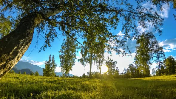 Mountain Meadow Time-lapse at the Summer or Autumn Time. Wild Nature and Rural Field. Motorised