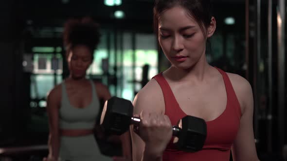 Young woman doing exercises with dumbbell in gym fitness, Sportswoman exercising with dumbbells