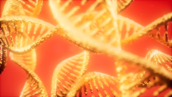 Structure of the DNA Double Helix Animation