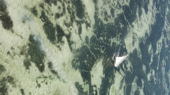 Tanzania Vertical Video  Boat Boats in the Ocean Near the Coast of Zanzibar Aerial View