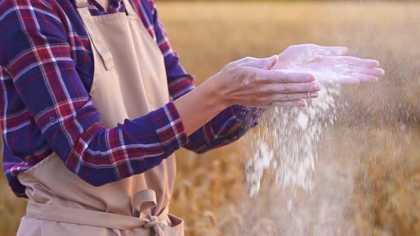 Woman Baker Makes Splash Hands With Flour On Golden Wheat Field. Women's Hands Clap Hands Flour