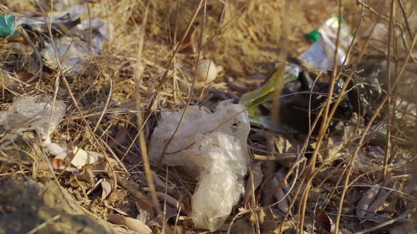 Plastic Trash on the Soil Surrounded By Rocks, Dry Twigs and Leaves