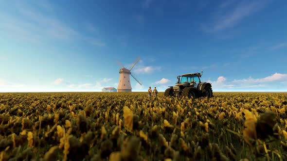 Agricultural Tractor In The Field