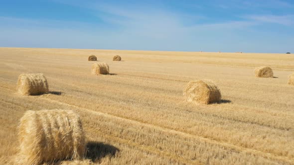 Round Hay Bales At The Field 4