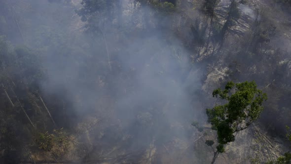 Trees in the Amazon rain forest smolder and burn in a wildfire due to drought - aerial tilt down vie