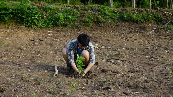 Young Asian Man Planting Tree