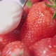 Fresh strawberries are drizzled with cream. Yogurt dripping on strawberries. Organic ripe strawberry - VideoHive Item for Sale