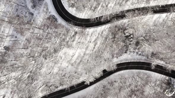 Smooth drone flight over a winter landscape as top down shot looking down at a forest with a bending