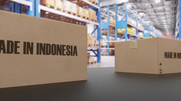 Boxes with MADE IN INDONESIA Text on Conveyor