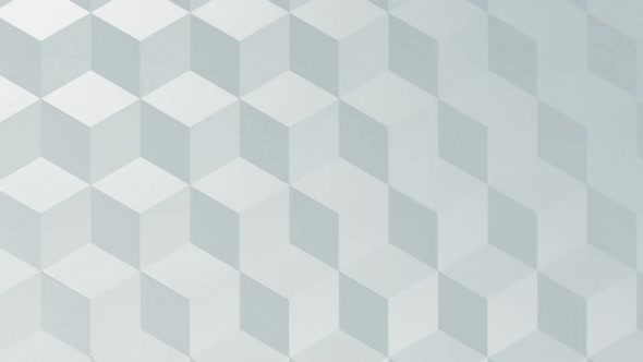 Digital generated video of various shape  alt