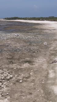 Vertical Video of Low Tide in the Ocean Near the Coast of Zanzibar Tanzania