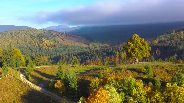 Aerial View of a Bright Autumn Forest on the Slopes of the Mountains at Sunrise