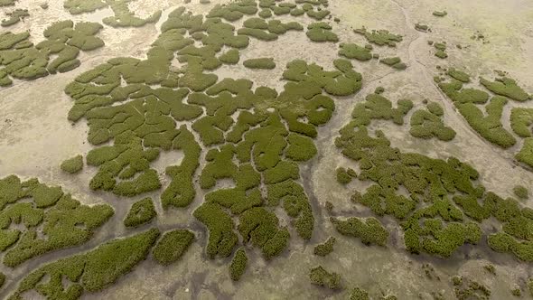 Abstract aerial view of Formosa lagoon in Portugal.