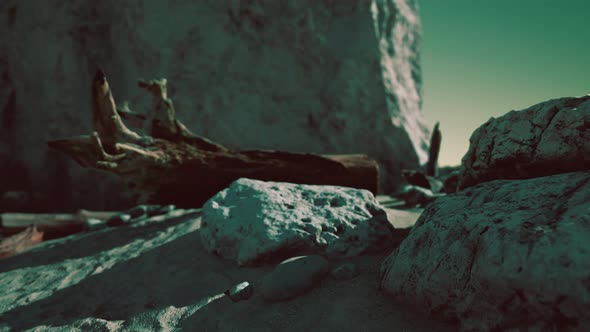 Time Lapse of Logs on a Beach Coast of Majorca