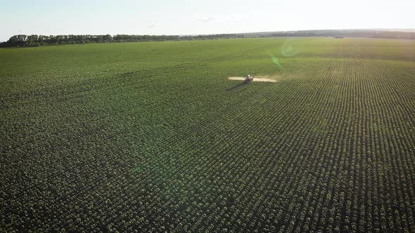 Aerial View of Farming Tractor Spraying on Field with Sprayer, Herbicides and Pesticides at Sunset