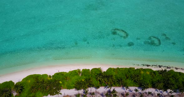 Luxury flying copy space shot of a sunshine white sandy paradise beach and aqua blue ocean 