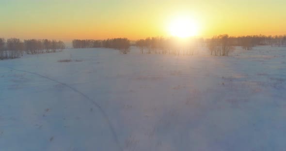 Aerial Drone View of Cold Winter Landscape with Arctic Field Trees Covered with Frost Snow