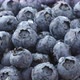 Fresh washed blueberry berries heap - VideoHive Item for Sale