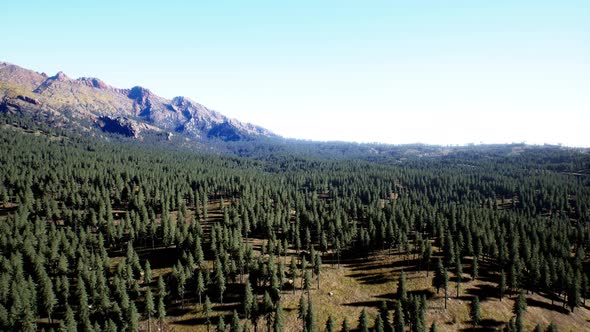 Cascade Mountain and Surrounding Canadian Rocky Mountains in Summer Time