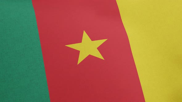 National Flag of Cameroon Waving Original Size and Colors 3D Render Cameroonian Flag or Drapeau Du