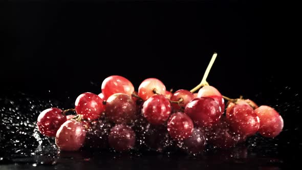 A Sprig of Grapes Falls on the Water with Splashes