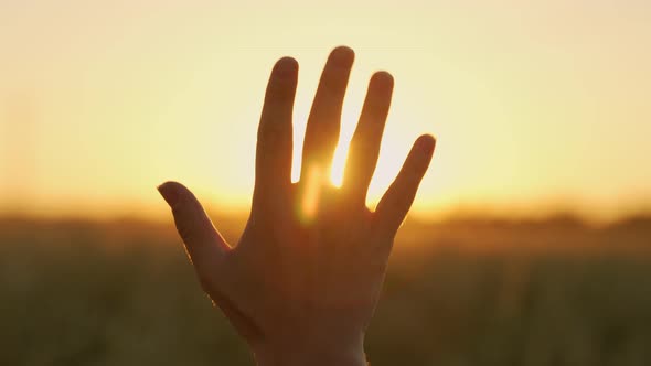 Woman Holding Hand Up to the Light Touching Rays of Warm Sunshine Through Finger Tips