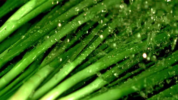 Super Slow Motion Water Drips on the Green Onion