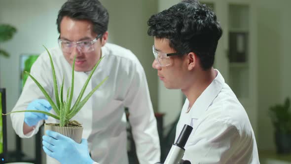 Team Researchers Looking At Aloe Vera. Pharmaceuticals Scientist Working In Biochemistry Laboratory
