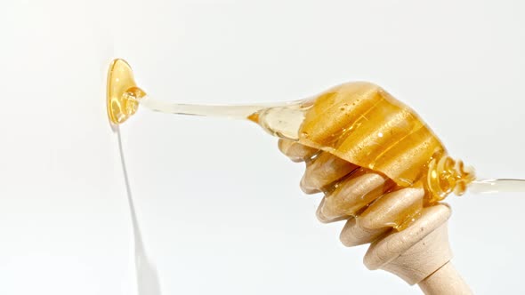 Honey Dripping to a Honey Dipper