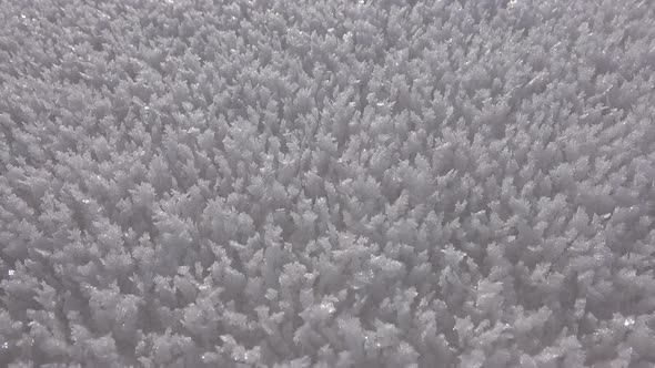 Rime Ice Crystals and Hoar Frost Covered on Untouched Ground