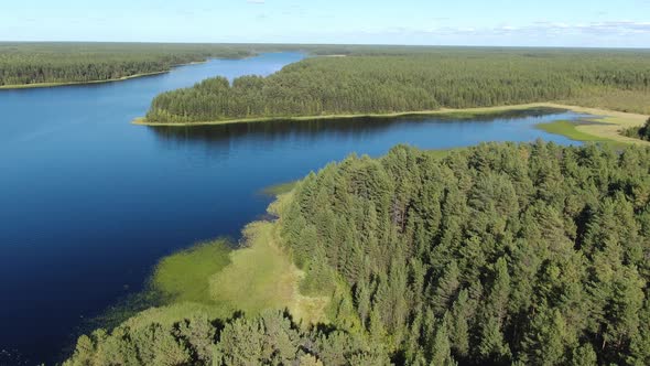 Flight Over the Taiga Forest Lake