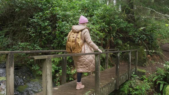 Cinematic Rainforest Background Slow Motion Happy Woman Hiking in Green Forest