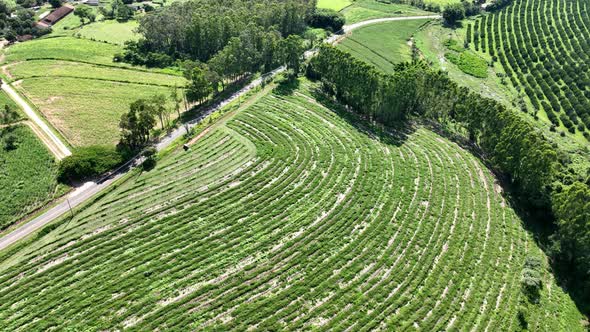 Farming landscape at countryside rural scenery.