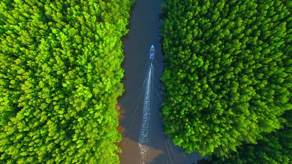 Top view of the boat cruising along the river with mangroves surrounding.