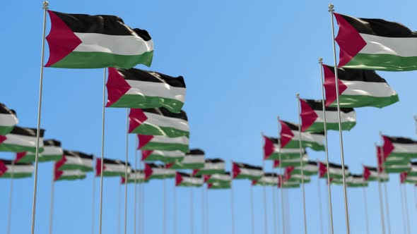 Palestine Row Of National flags Walk Throw Animation alt