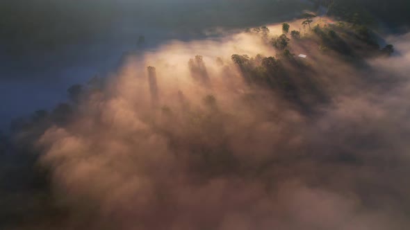 4K Aerial view of the misty sunrise in the forest.