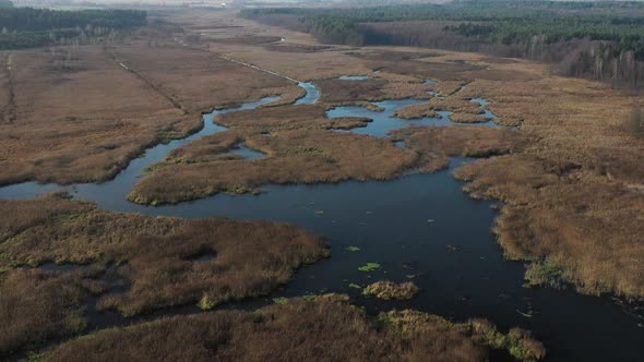 View From the Height of the Lake Papernya in Belarus