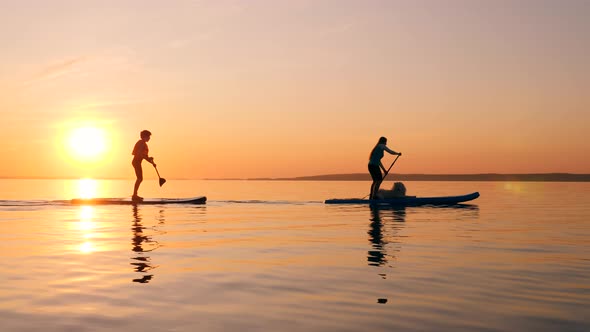 Sportspeople Supping with a Dog on a Sunset Background.