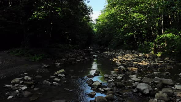 Mountain river in the forest.