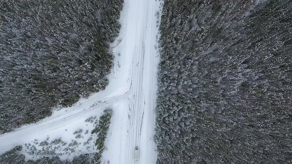 Aerial video through the frosty air, snowy road in the forest covered with frost in Alberta, Canada