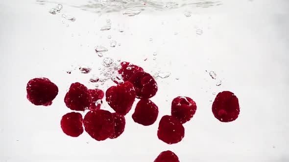 A Ripe Raspberry Falls Into the Water with a Lot of Small Bubbles. Video of Berry on Isolated White