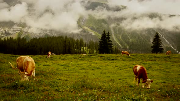 Mountain Nature Environment Landscape