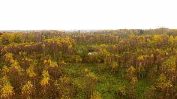 Aerial view of the autumn forest in cloudy weather