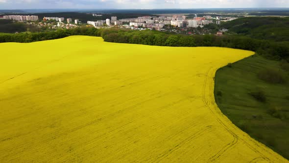 Bird's eye view from a drone of a passing canola crop