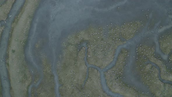 Aerial view of Scheldt river, Nieuw-Namen, The Netherlands.