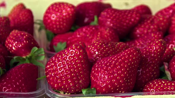 New Season Fresh Strawberries Packed In Wooden Cases 2