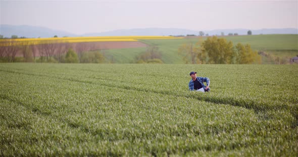 Agronomist Examining Crops And Writing Notes in Clipboard On Field